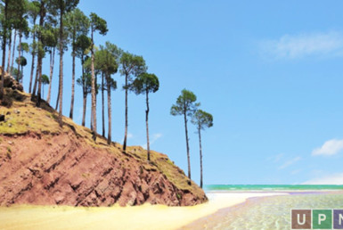 green palms gwadar