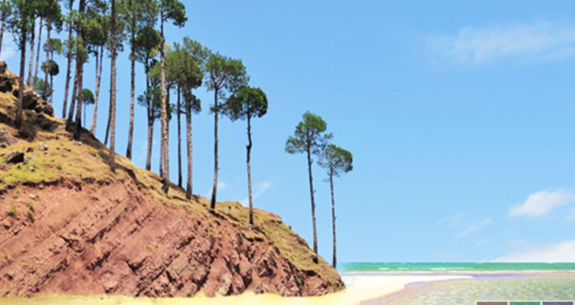 2 Kanal Plot File In Green Palms Gwadar For A Secure Investment