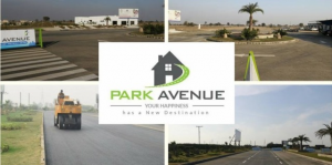 Park Avenue Housing Scheme