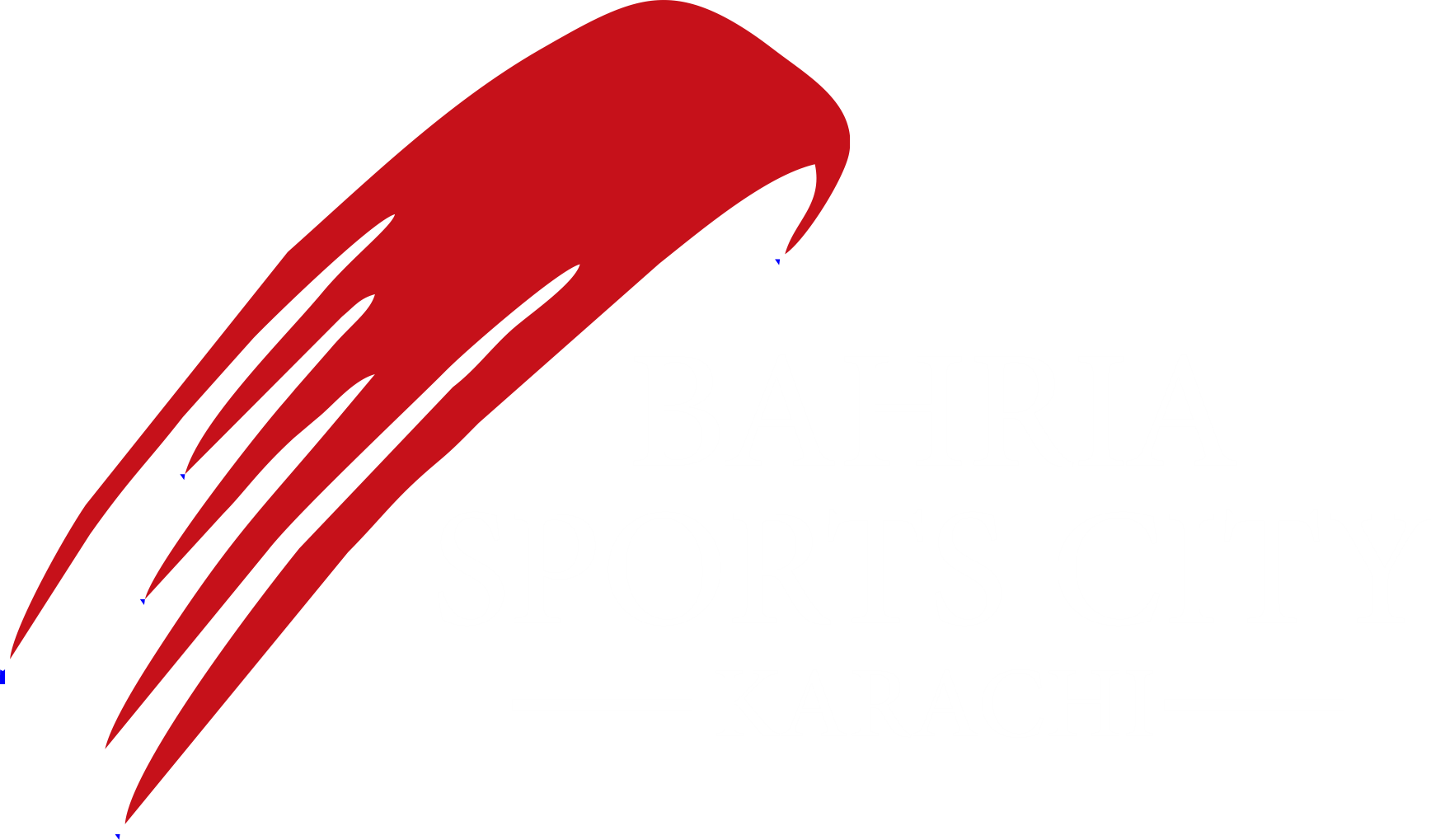 Bahria sports city logo