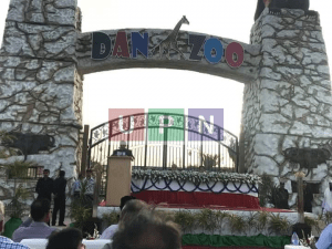 Danzoo Update