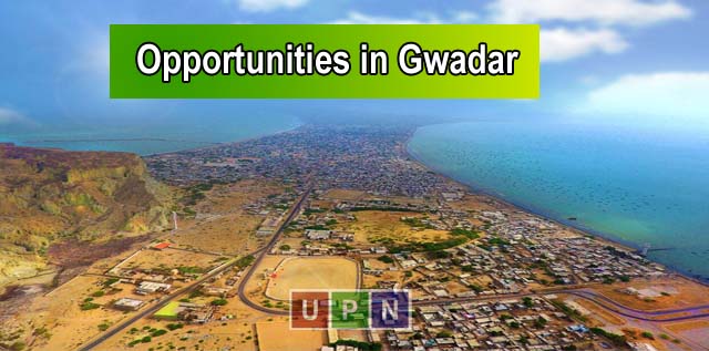 Short Term Investment Opportunities in Gwadar