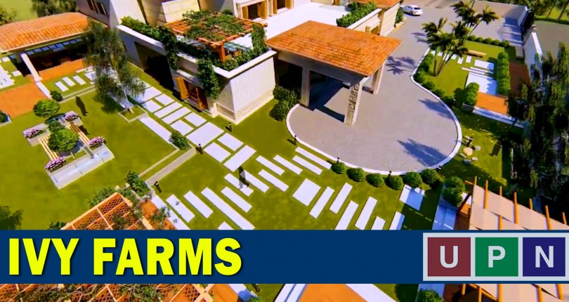 IVY Farms Lahore – Location, Development, and Prices