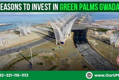 Reasons to Invest in Green Palms Gwadar