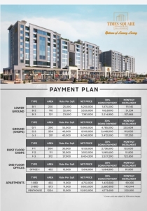 Tech Valley Executive Payment Plan