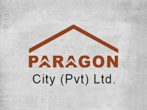 Paragon city