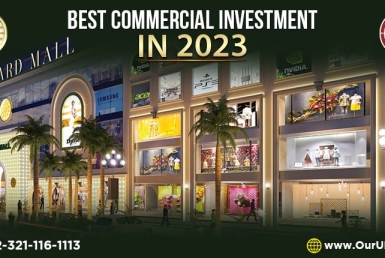 Commercial Investment in 2023